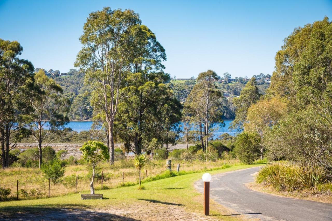 Top of the Lake Holiday Units Pensión Merimbula Exterior foto